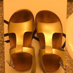 Freshly picked Toddler sandal size 8